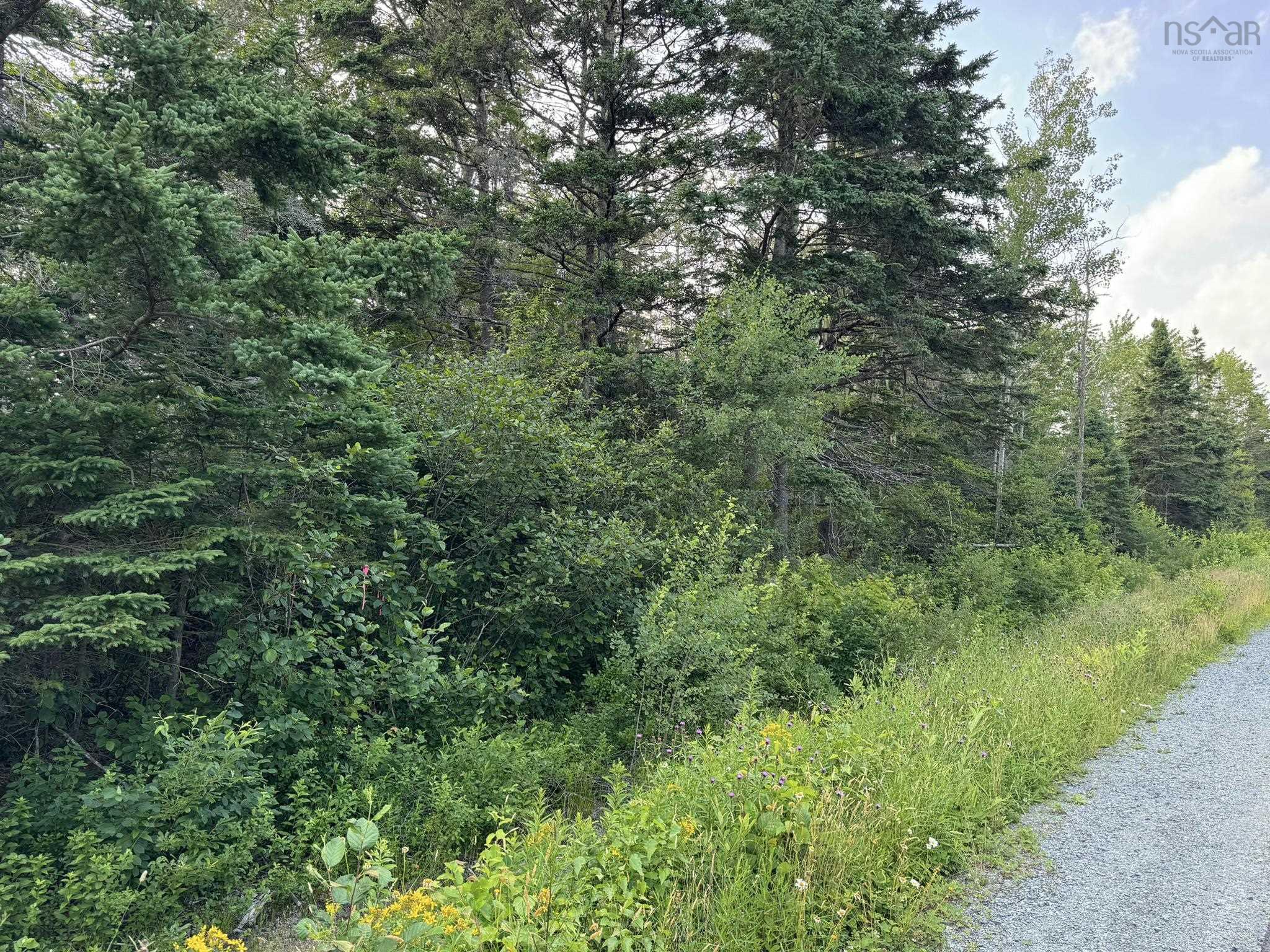 $24,900.00: Lot 10 Eastern Shore Road, Port Medway