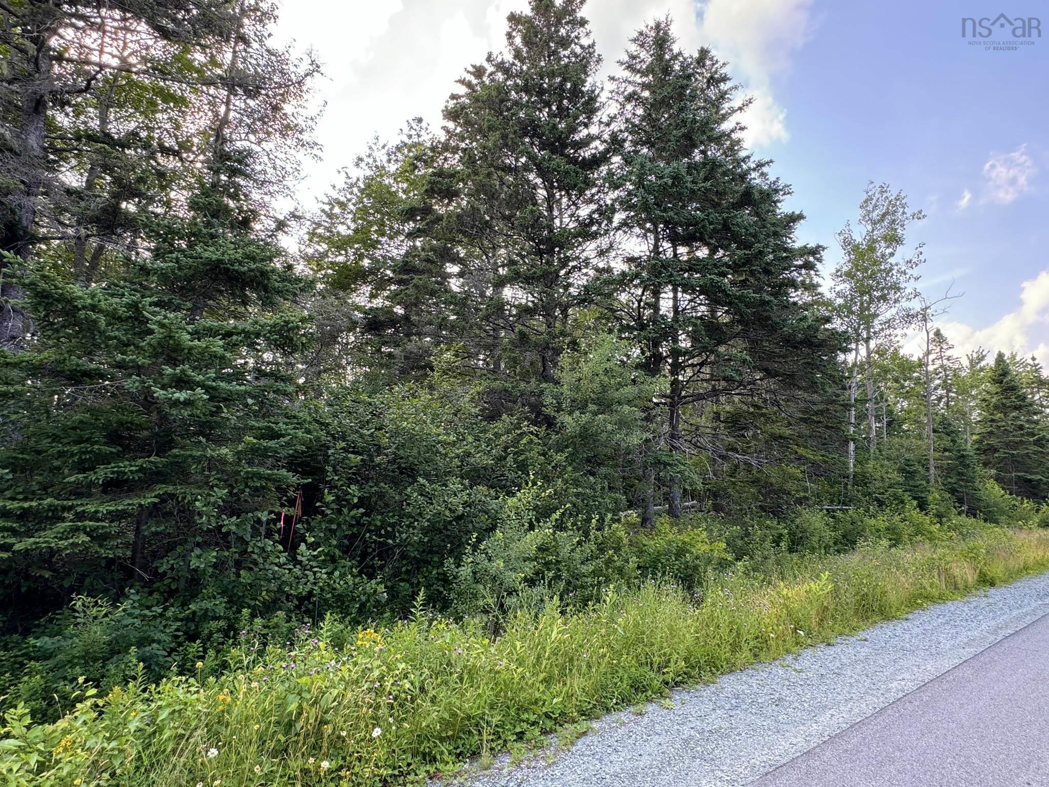 $24,900.00: Lot 10 Eastern Shore Road, Port Medway