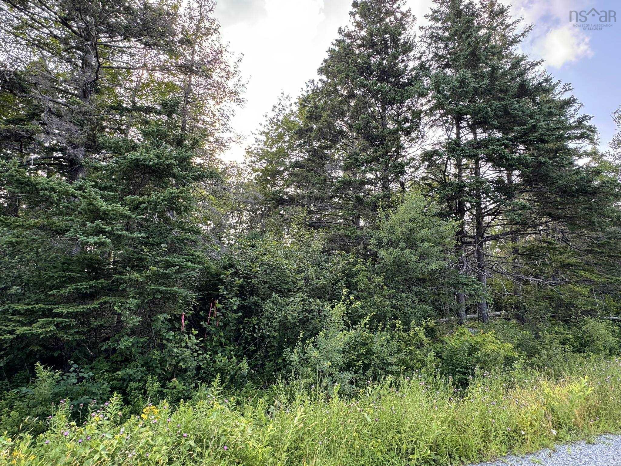 $24,900.00: Lot 10 Eastern Shore Road, Port Medway