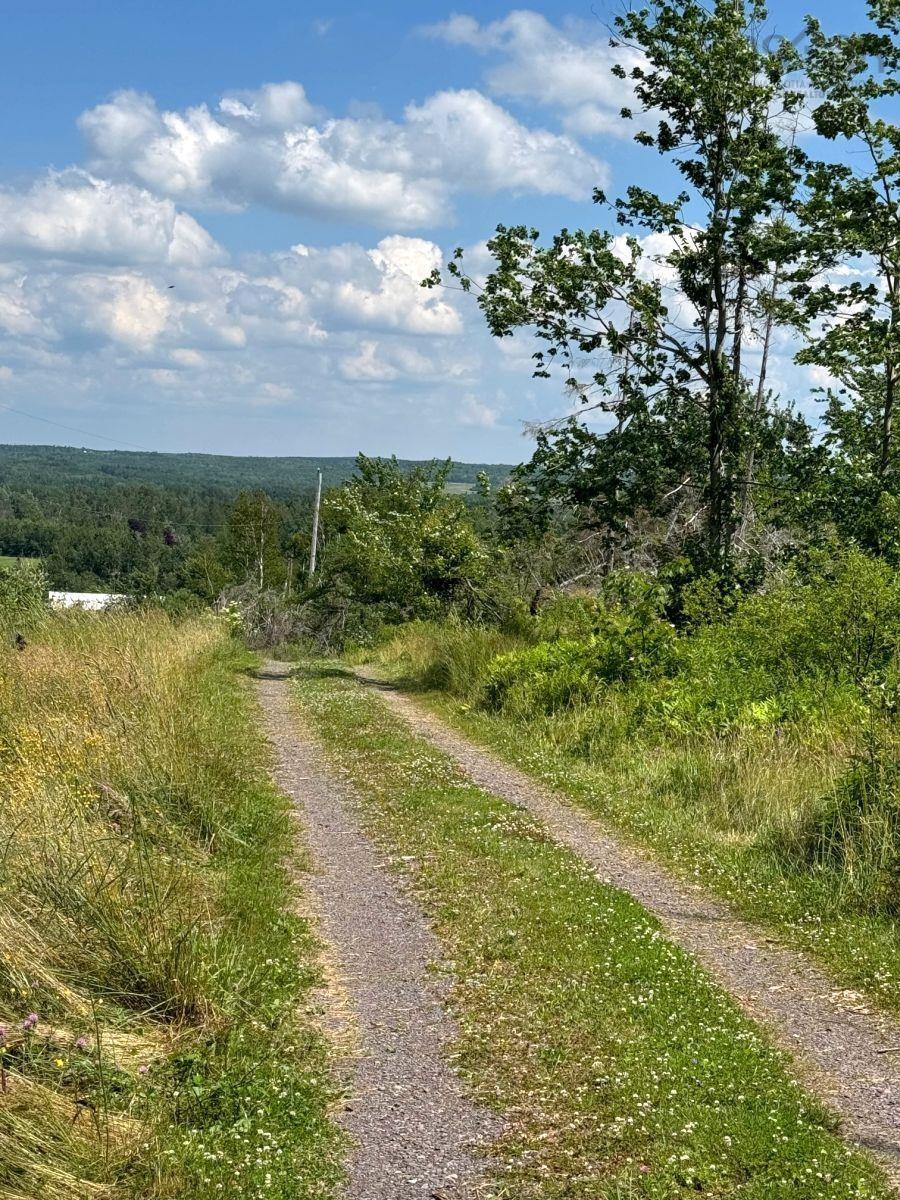 $992,000.00: 172 Melanson Road, Pomquet