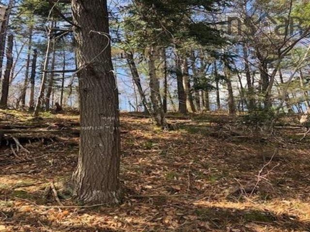 $35,000.00: 2-B 408 Harrington Road, Mayflower