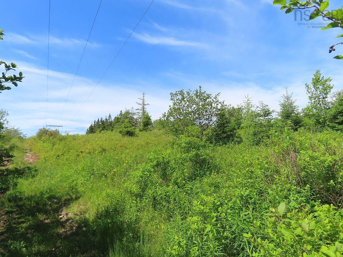 $35,000.00: Lot 2 Old Trunk 4 Highway, Soldiers Cove