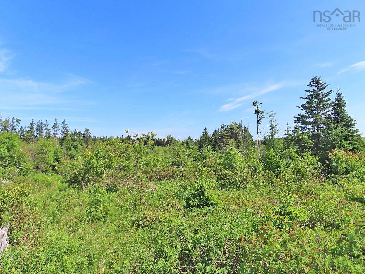 $35,000.00: Lot 2 Old Trunk 4 Highway, Soldiers Cove