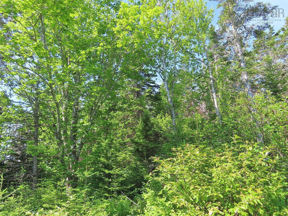 $45,000.00: Lot 2 Old Trunk 4 Highway, Soldiers Cove