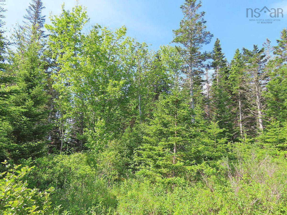 $45,000.00: Lot 2 Old Trunk 4 Highway, Soldiers Cove