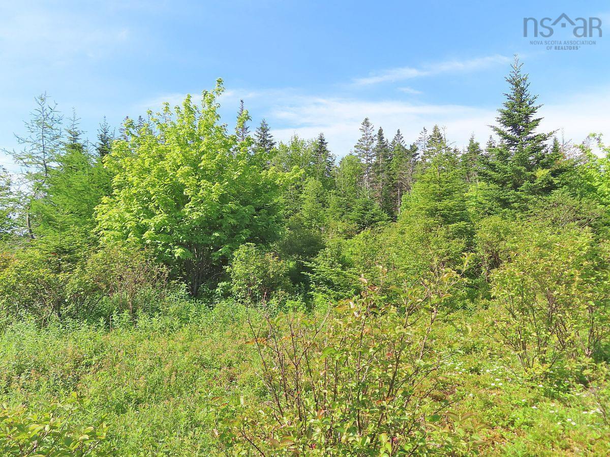 $45,000.00: Lot 2 Old Trunk 4 Highway, Soldiers Cove