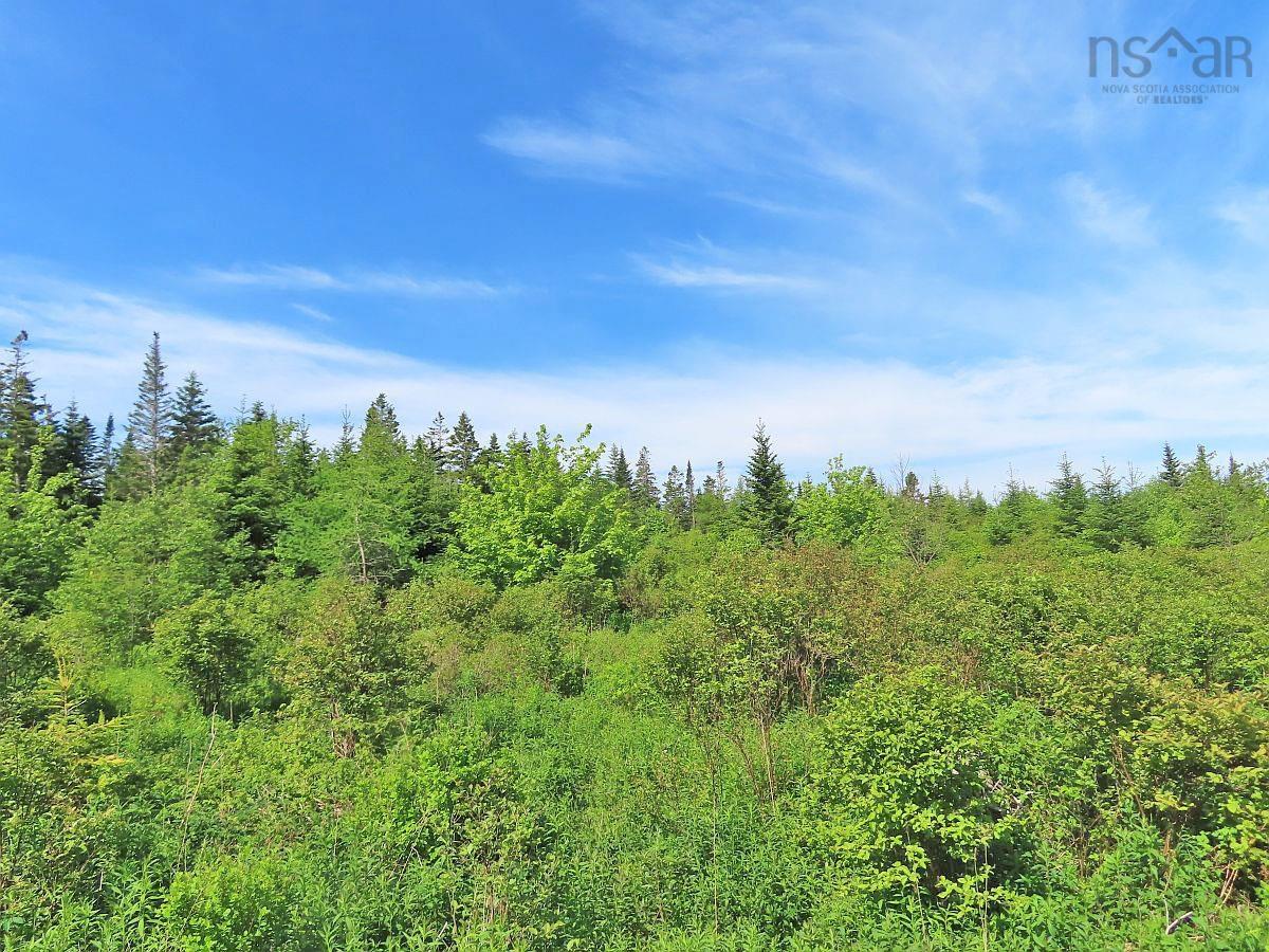 $45,000.00: Lot 2 Old Trunk 4 Highway, Soldiers Cove
