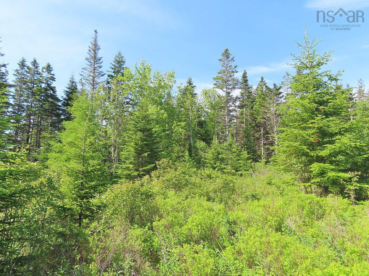 $45,000.00: Lot 2 Old Trunk 4 Highway, Soldiers Cove