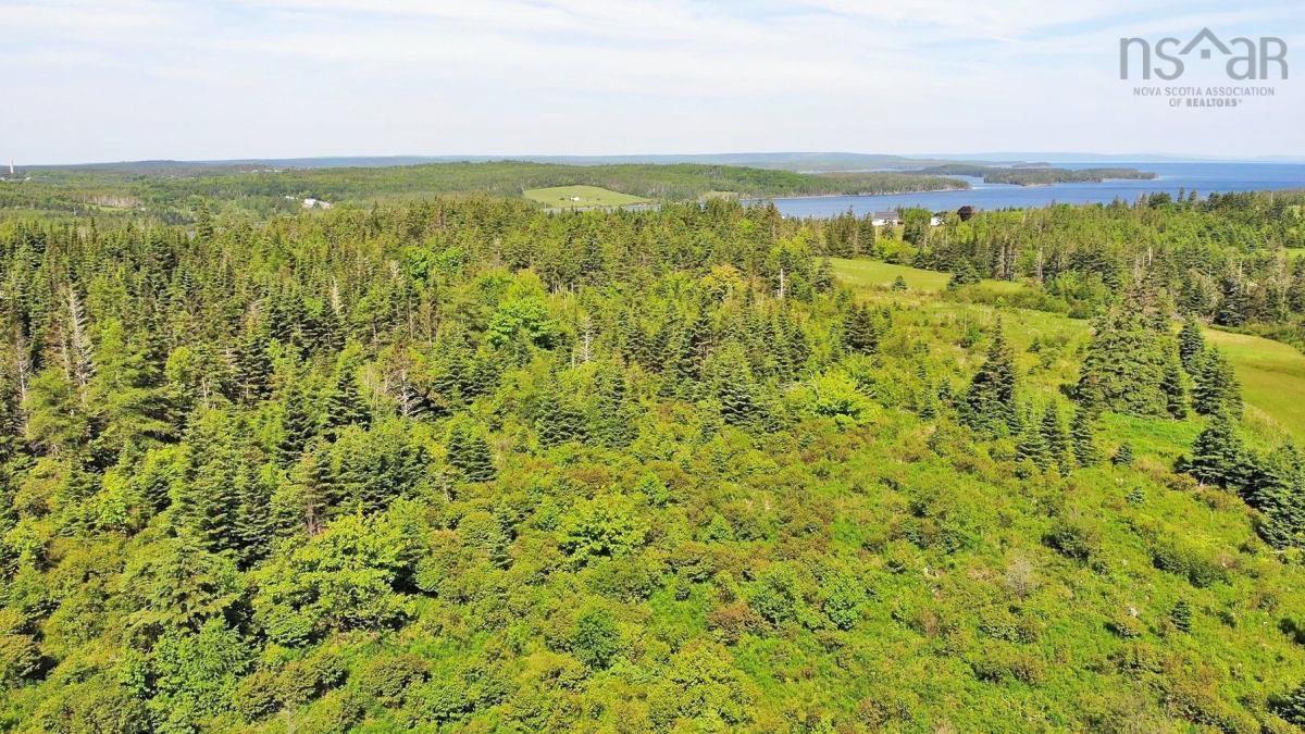 $45,000.00: Lot 2 Old Trunk 4 Highway, Soldiers Cove