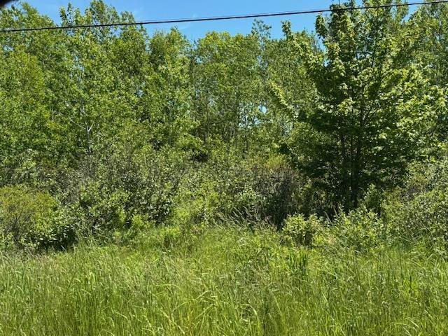 $299,000.00: 184 Pitt Street, Florence