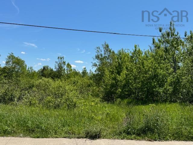 $299,000.00: 184 Pitt Street, Florence