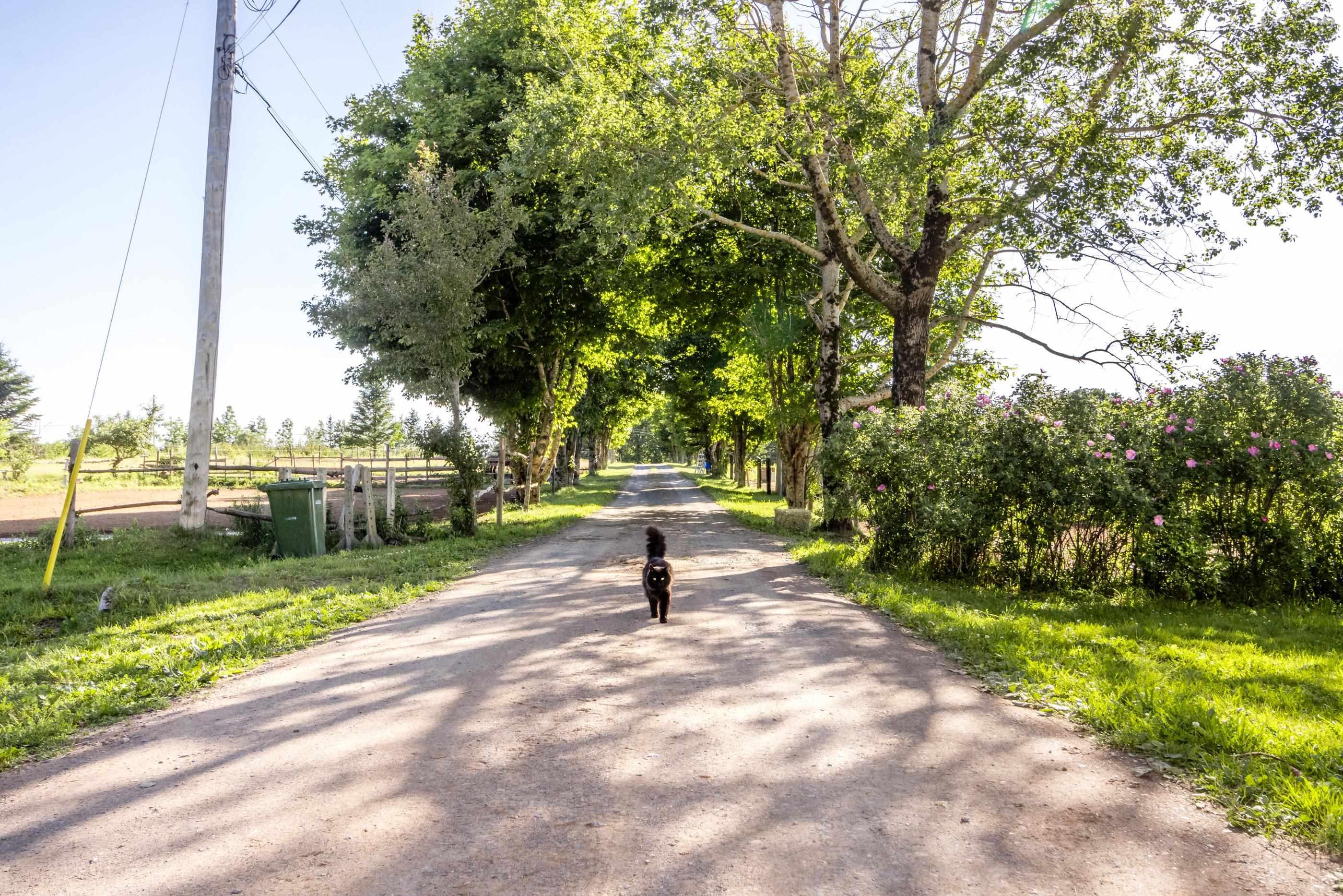 $499,900.00: 1714 Highway 360, Garland