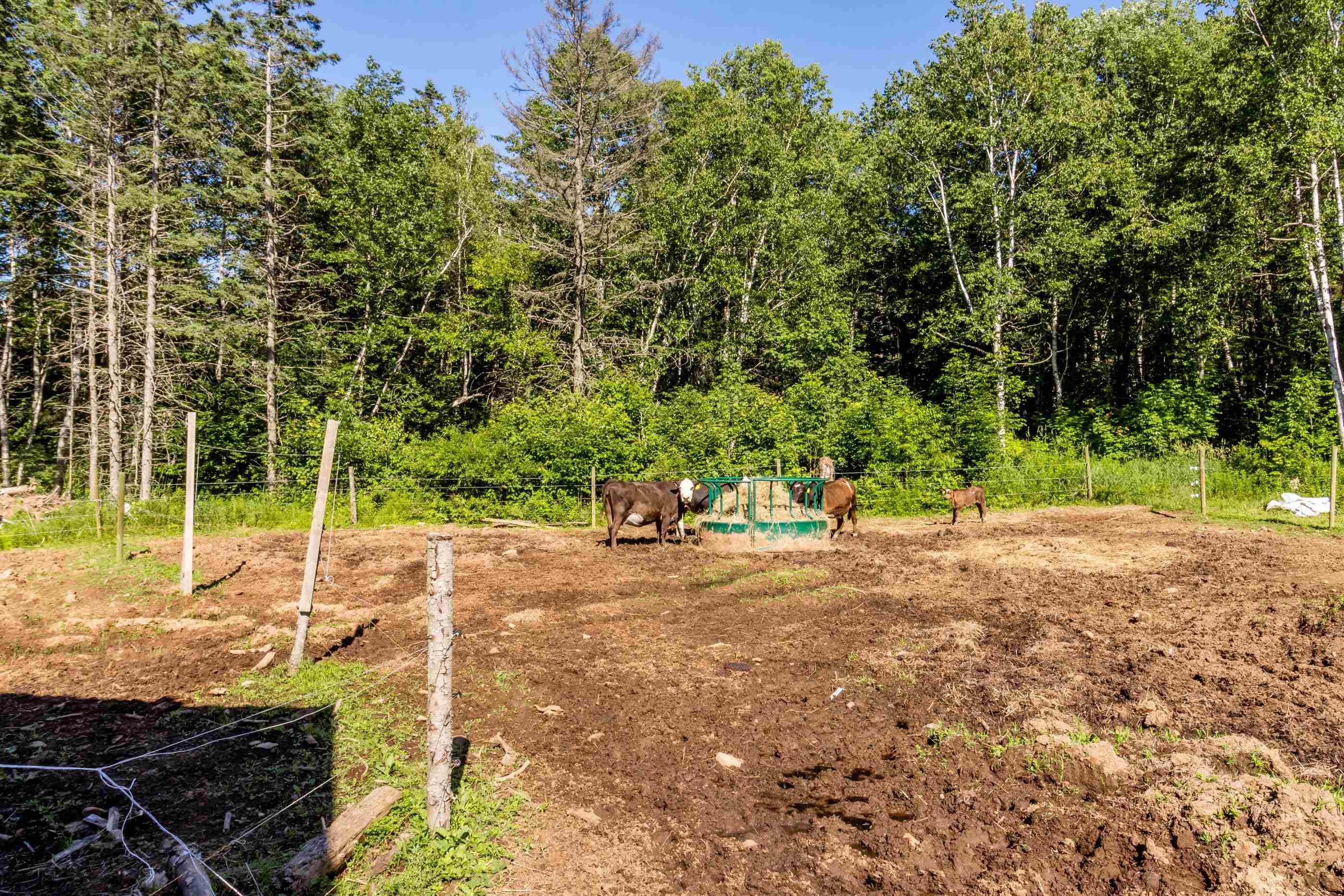 $499,900.00: 1714 Highway 360, Garland