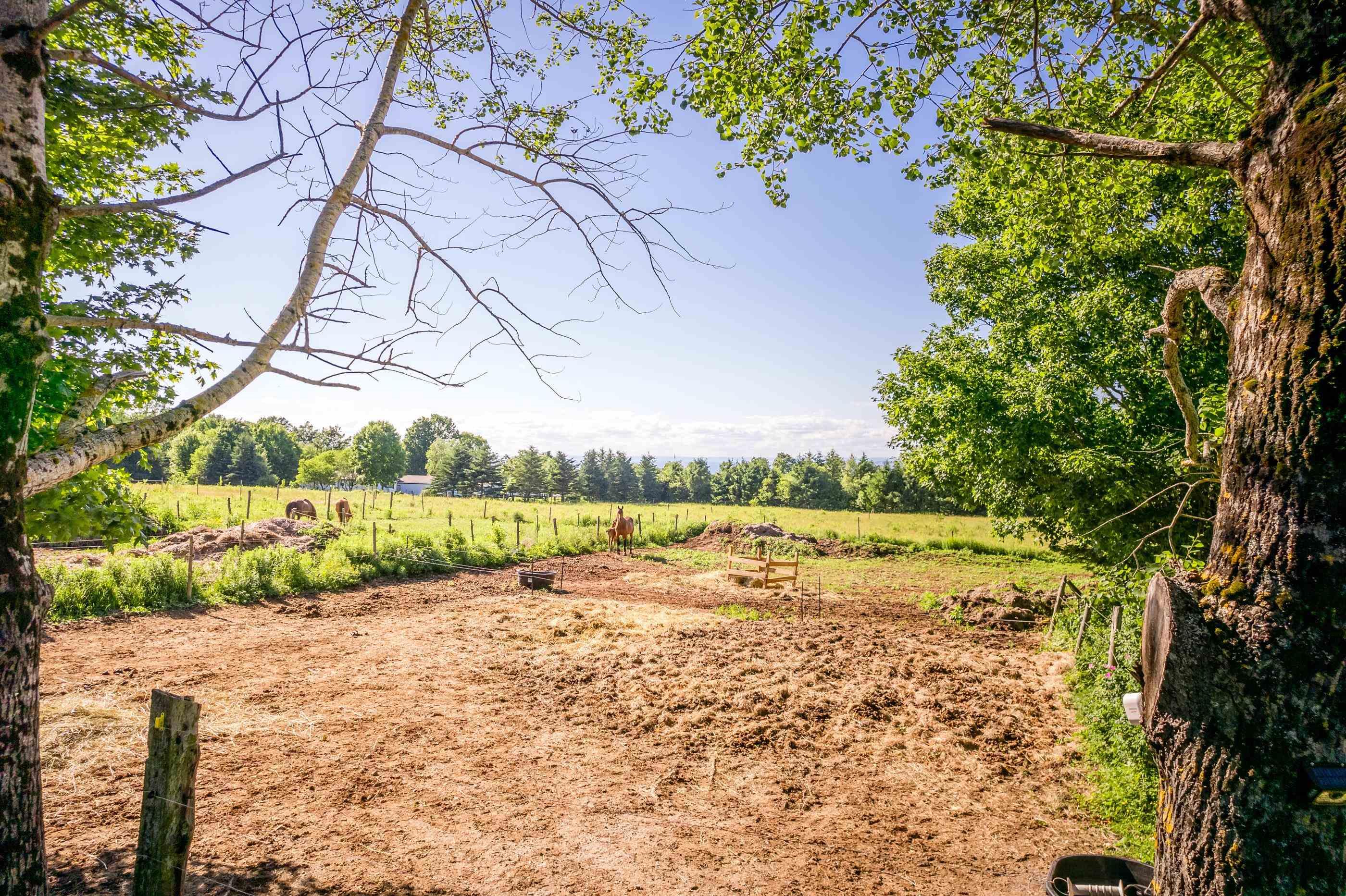 $499,900.00: 1714 Highway 360, Garland