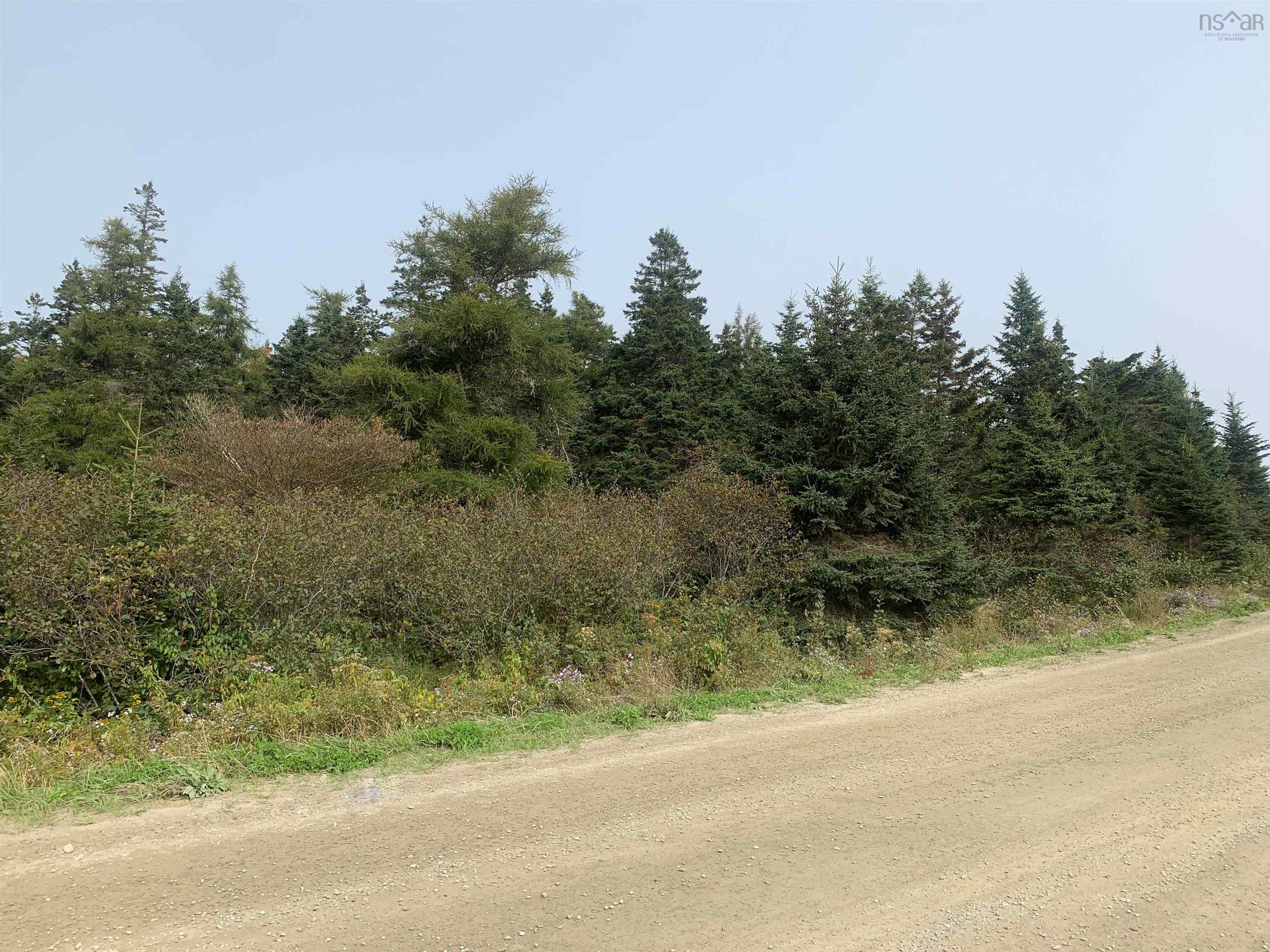 $29,900.00: Lot C Leblanc Branch Road, Mavillette