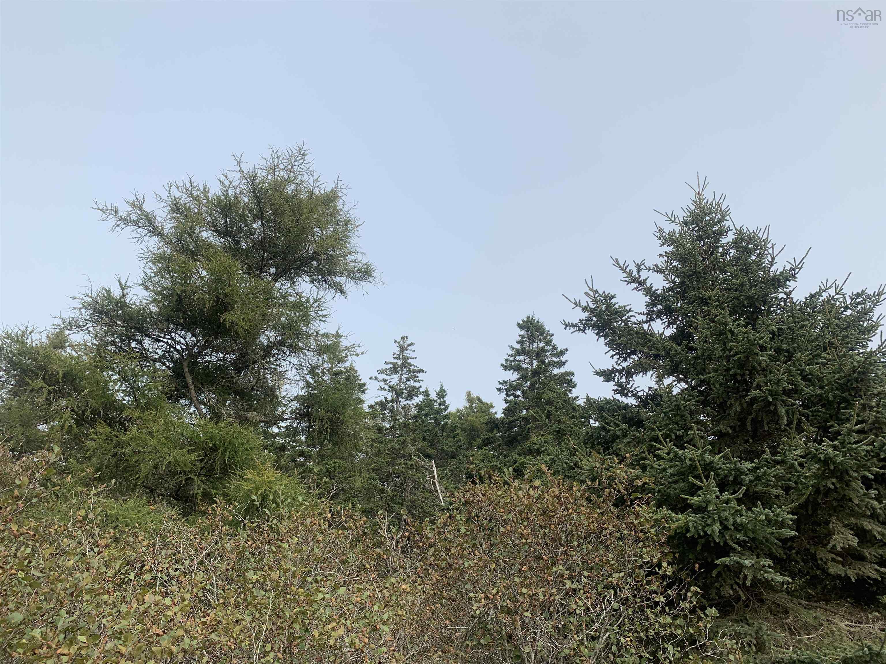 $29,900.00: Lot C Leblanc Branch Road, Mavillette