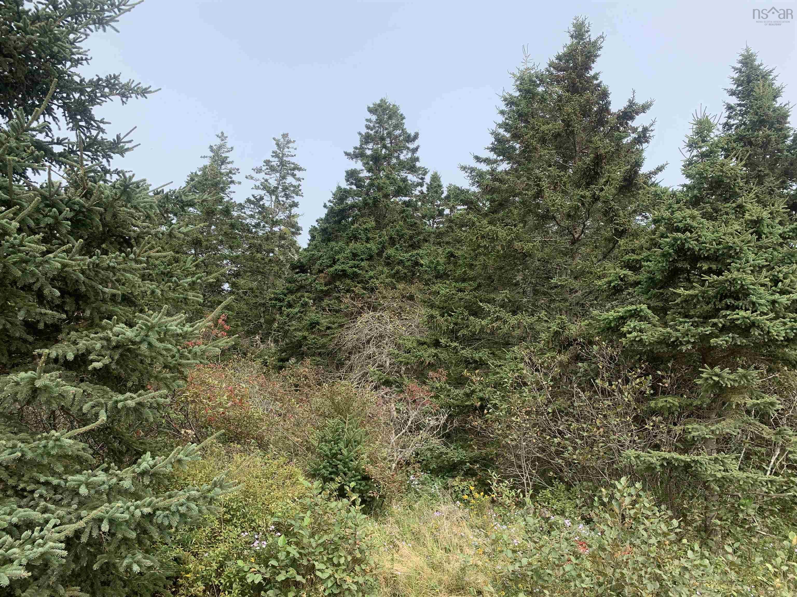 $29,900.00: Lot C Leblanc Branch Road, Mavillette