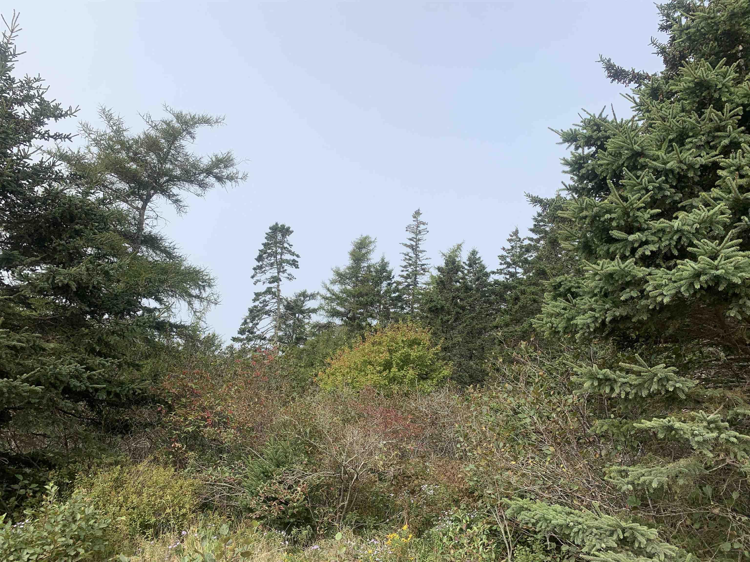 $29,900.00: Lot C Leblanc Branch Road, Mavillette