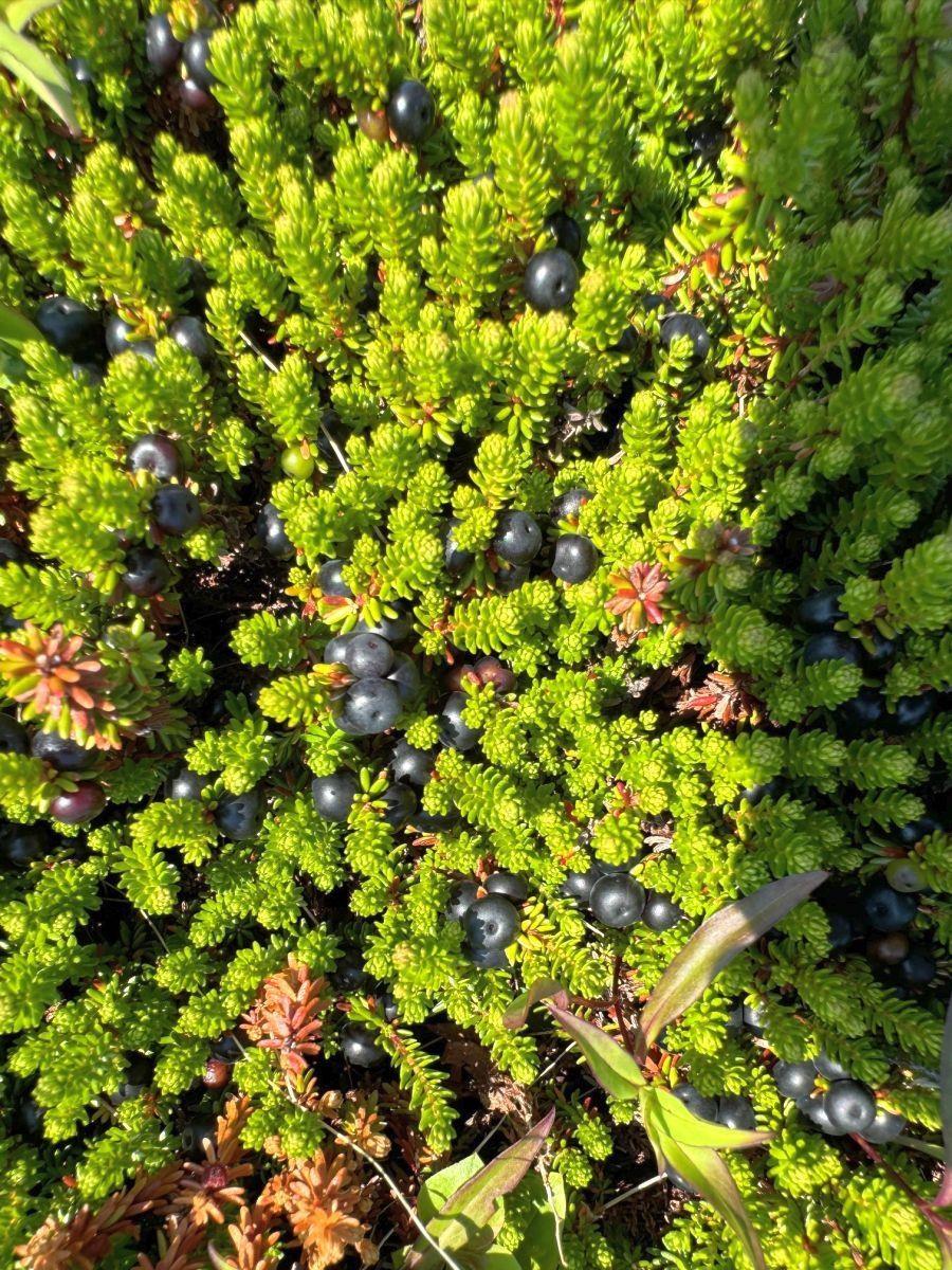 $390,000.00: 1-8 Cape Auguet Road, West Arichat