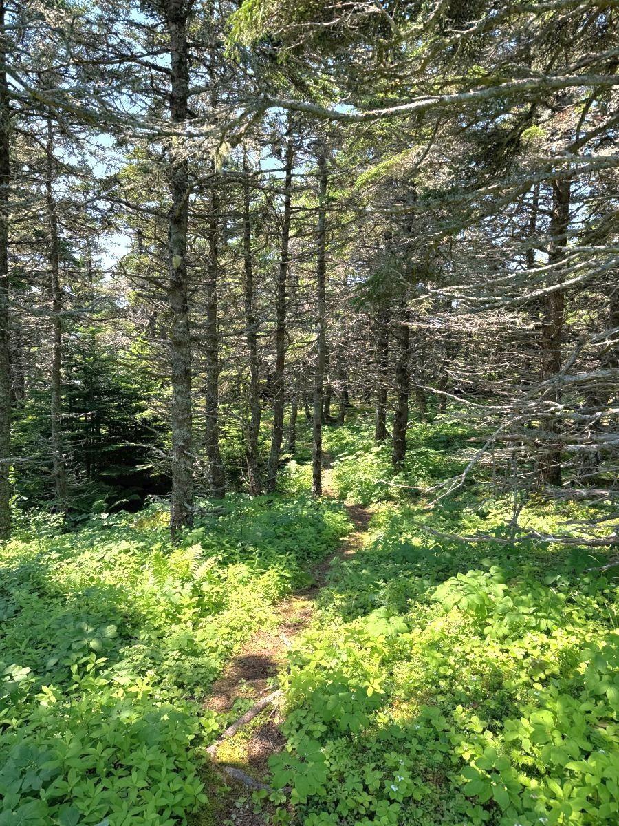 $390,000.00: 1-8 Cape Auguet Road, West Arichat