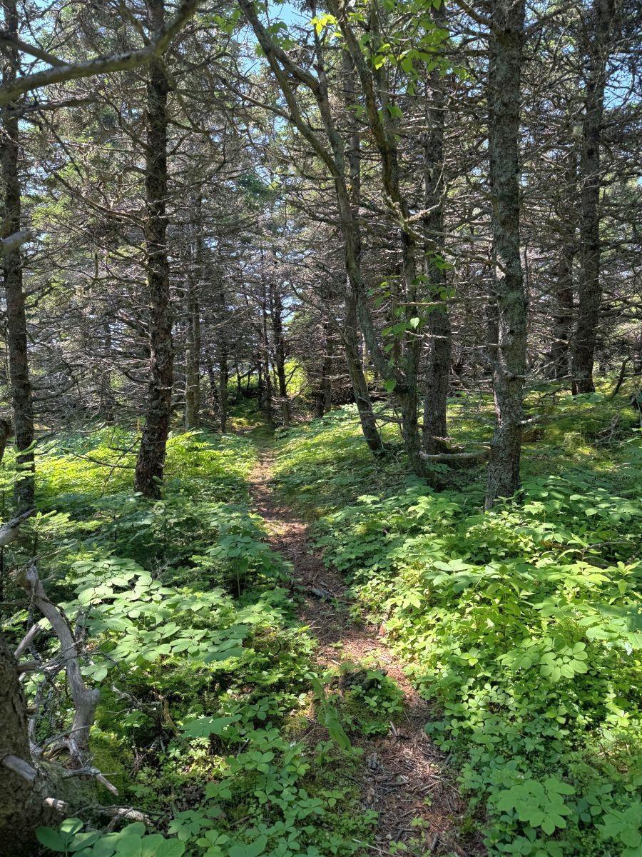 $390,000.00: 1-8 Cape Auguet Road, West Arichat