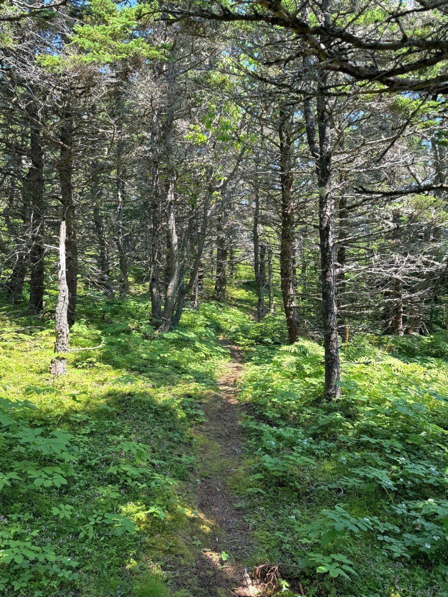 $390,000.00: 1-8 Cape Auguet Road, West Arichat