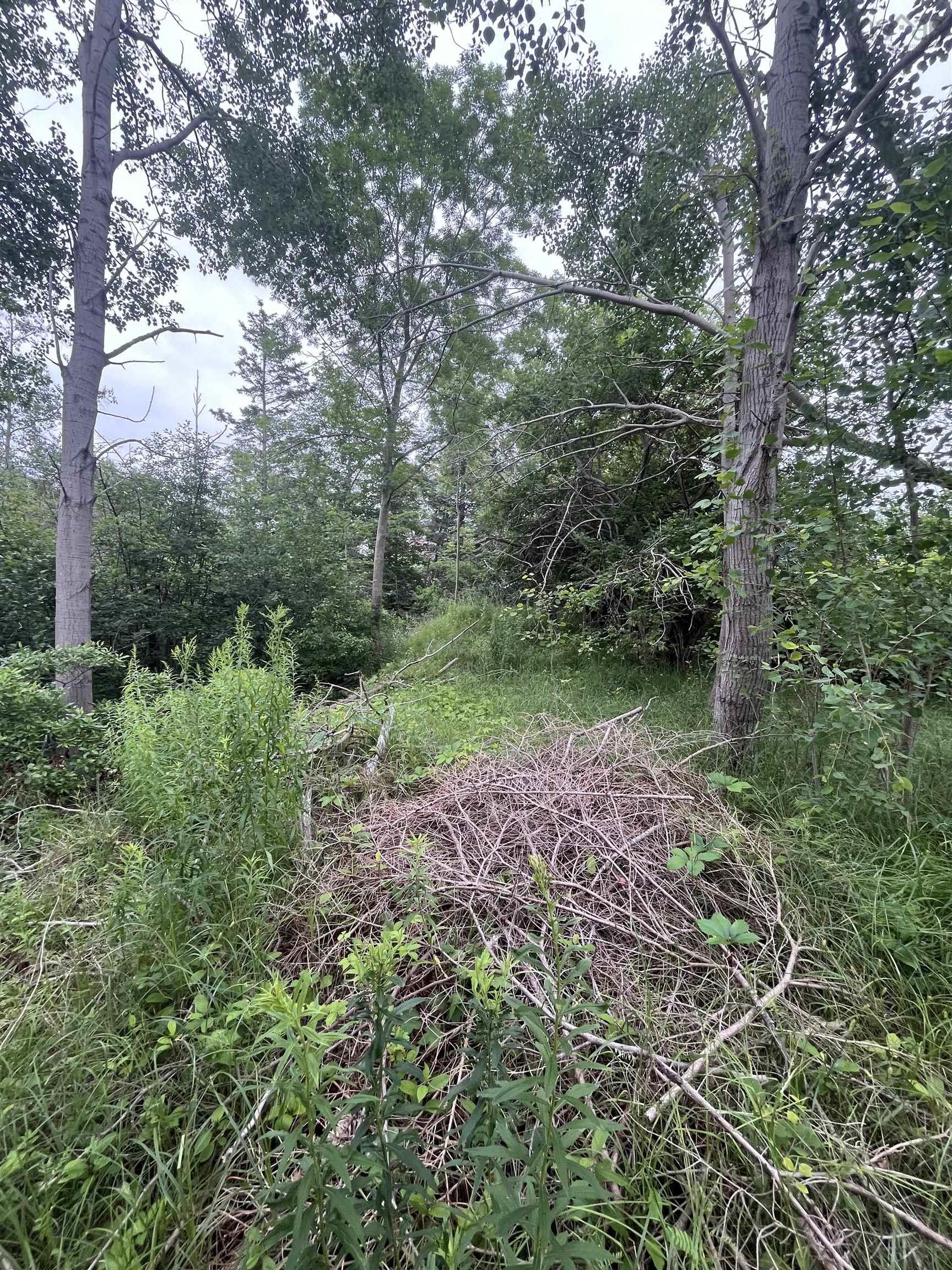 $65,000.00: 95 Chapel Street, Annapolis Royal