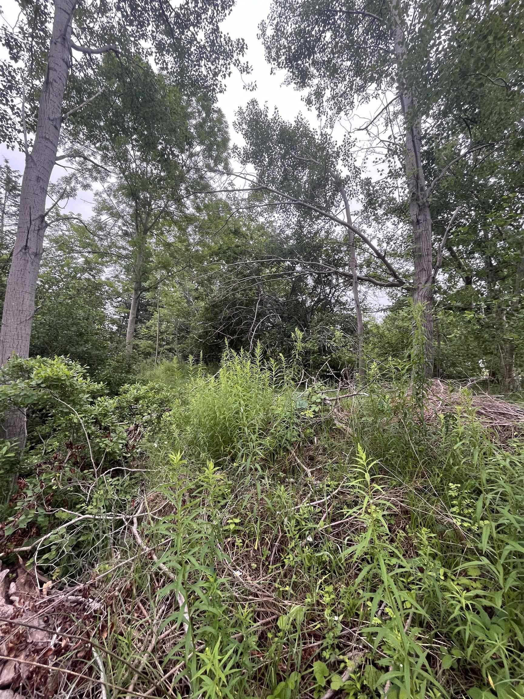 $65,000.00: 95 Chapel Street, Annapolis Royal