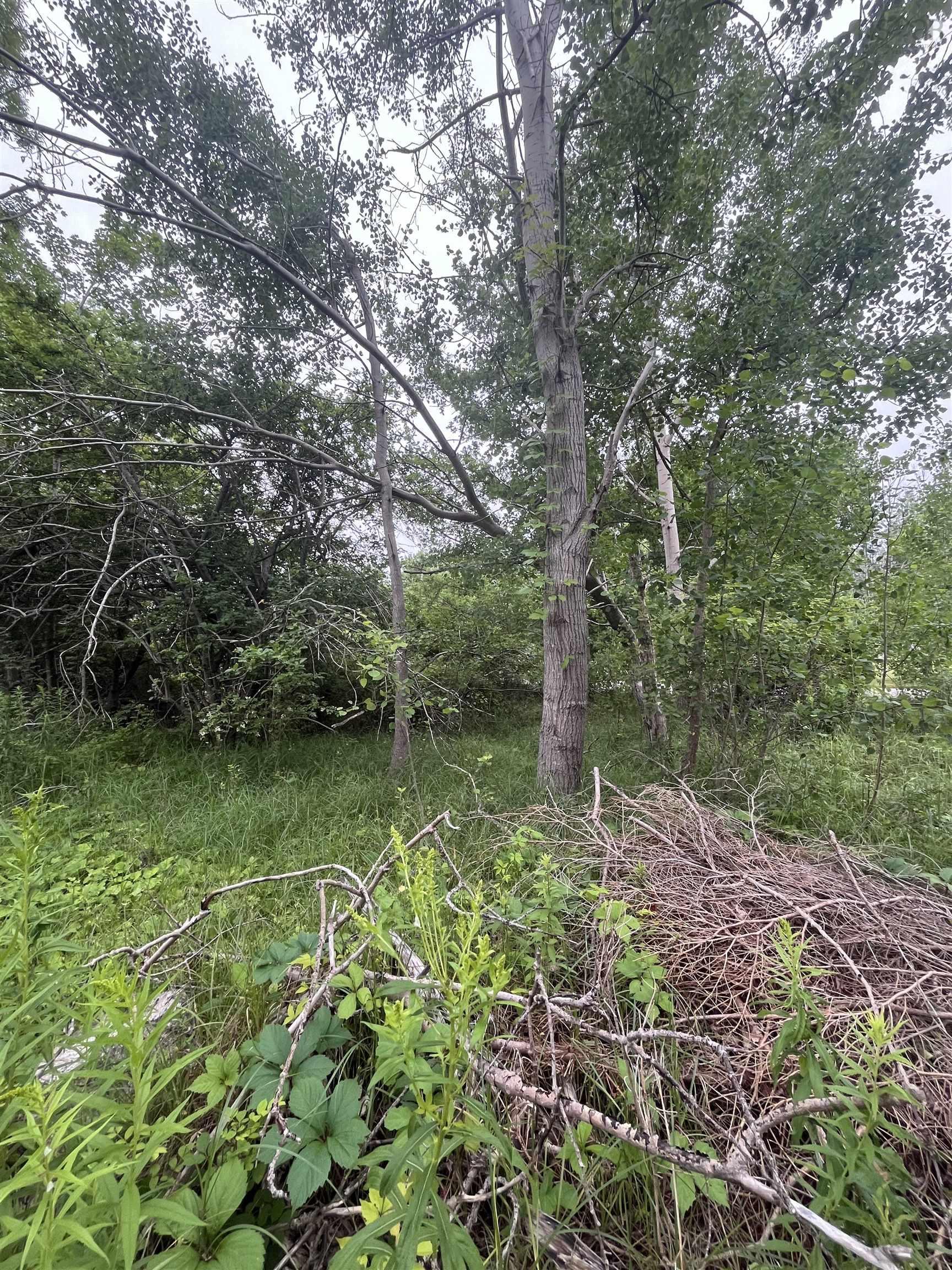 $65,000.00: 95 Chapel Street, Annapolis Royal