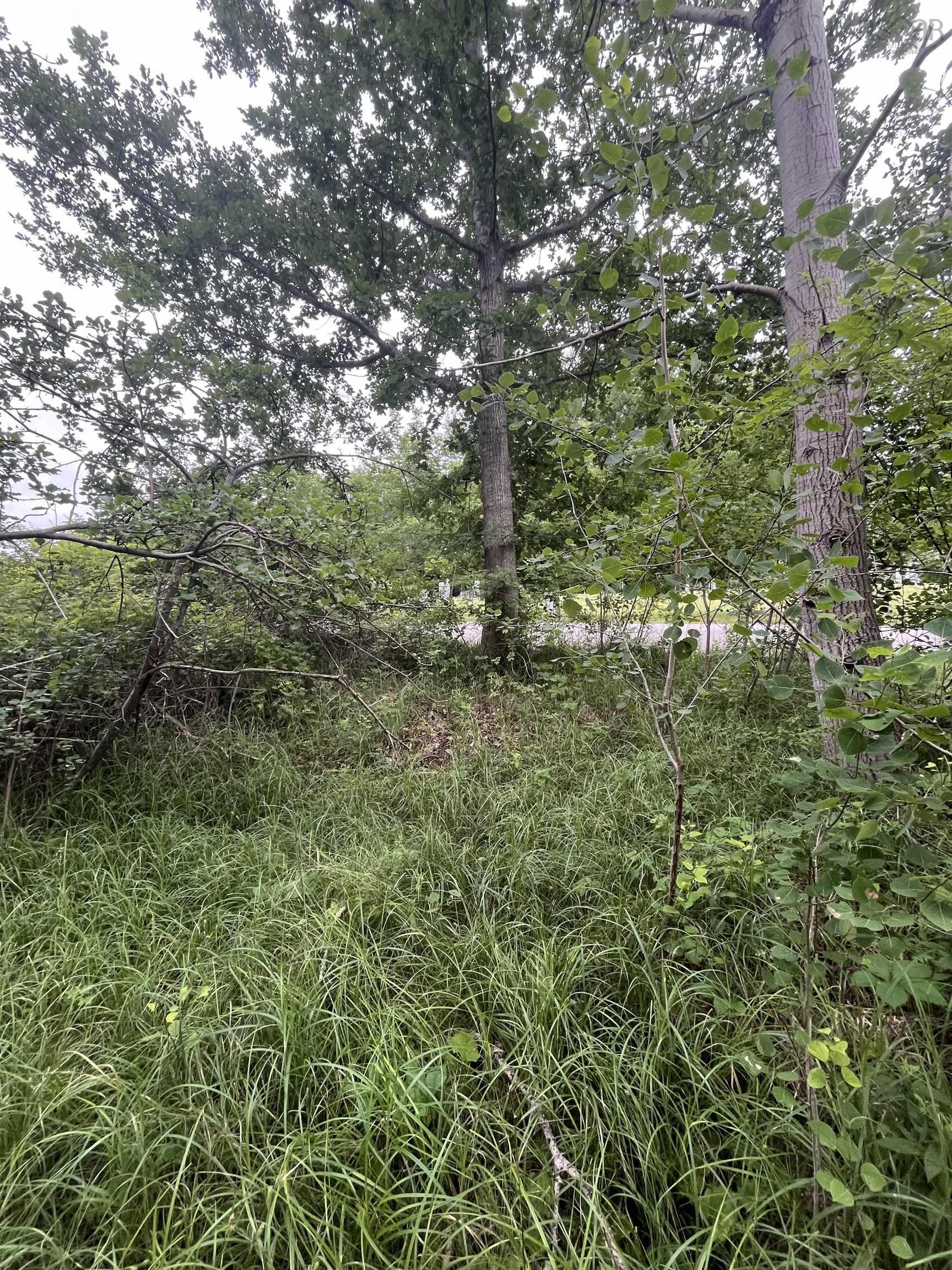 $65,000.00: 95 Chapel Street, Annapolis Royal