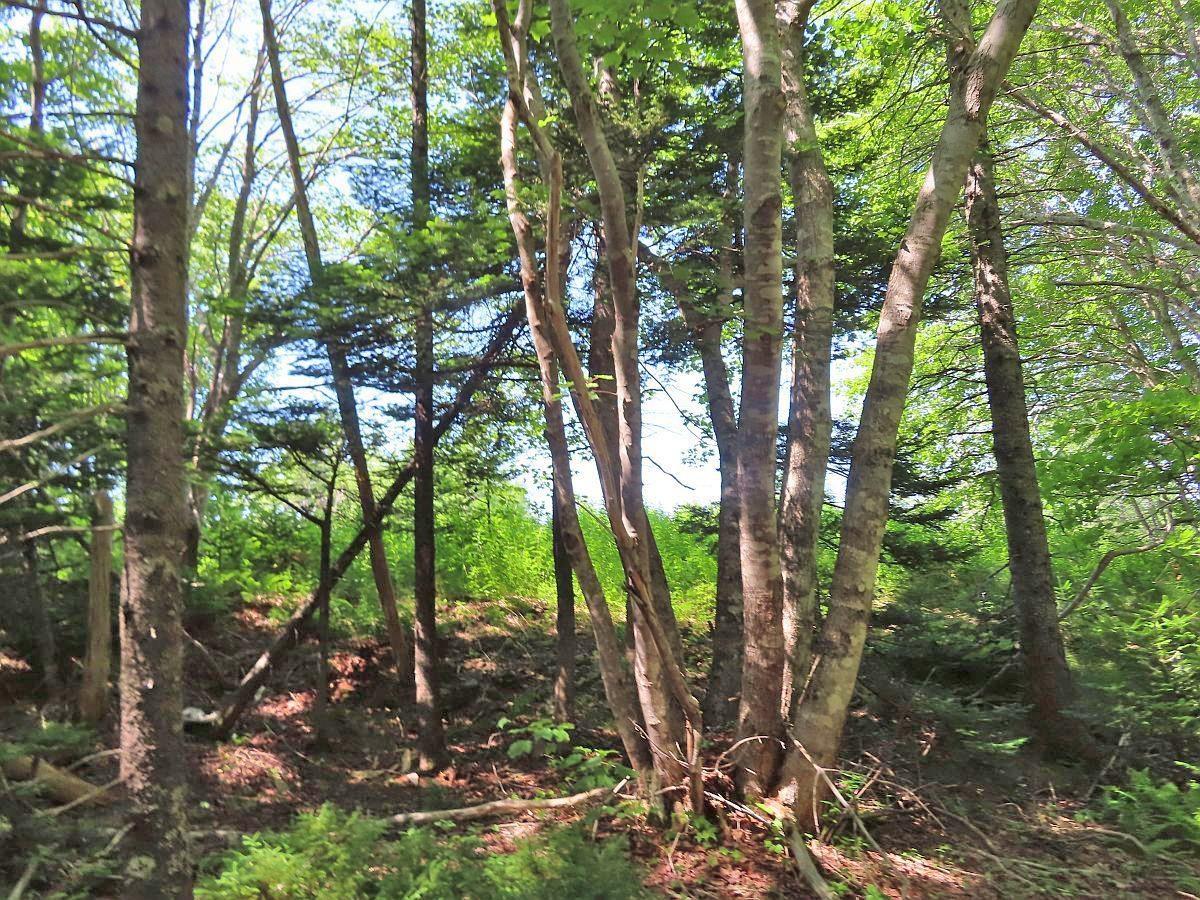 $125,400.00: Lot 2 Perry Lane, Lennox Passage