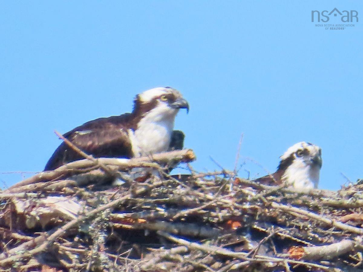 $125,400.00: Lot 2 Perry Lane, Lennox Passage