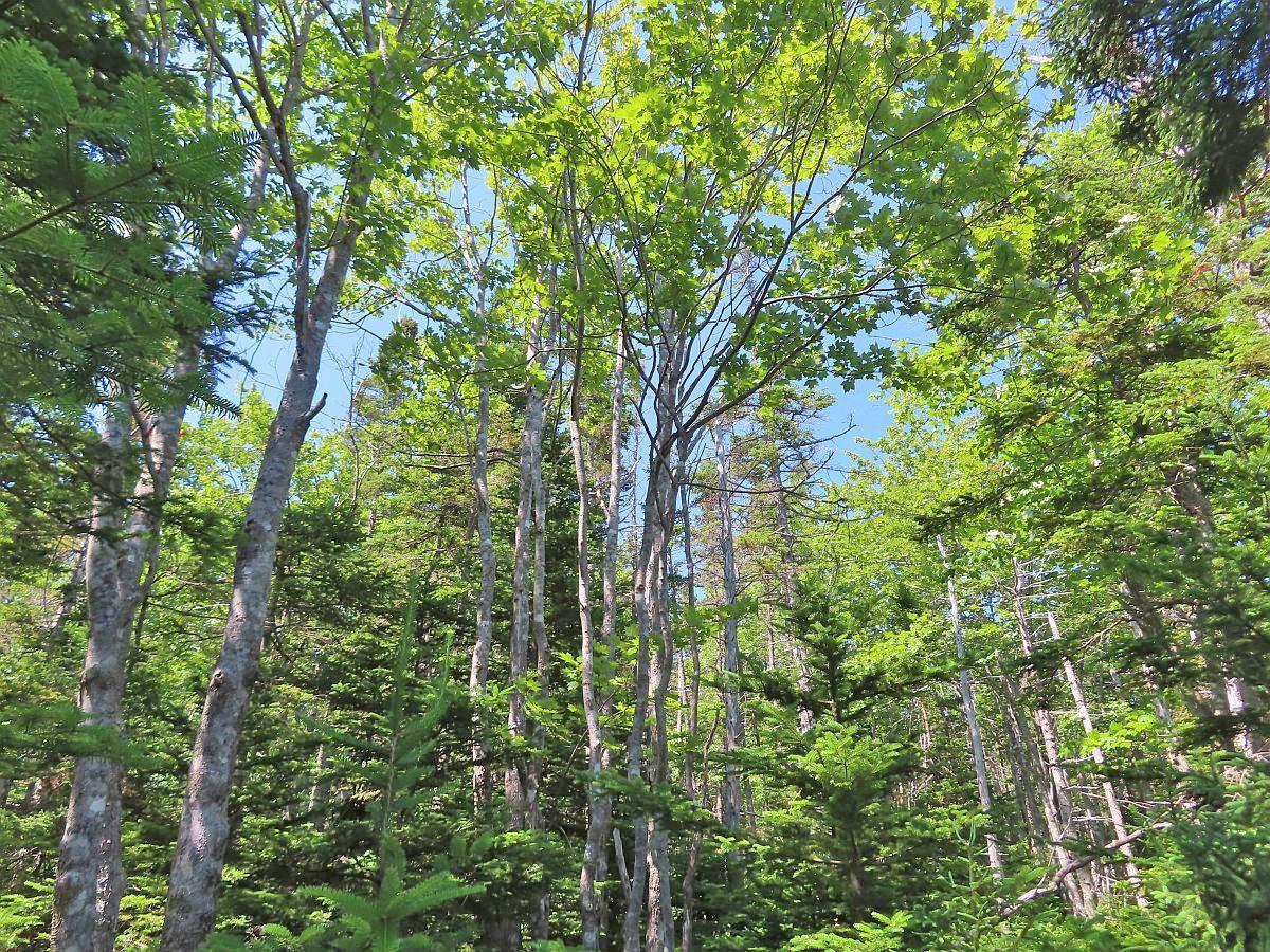 $125,400.00: Lot 2 Perry Lane, Lennox Passage