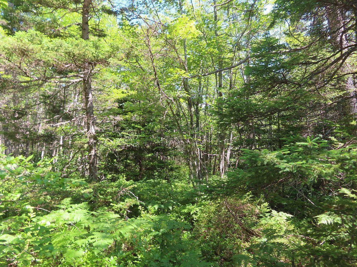 $125,400.00: Lot 2 Perry Lane, Lennox Passage