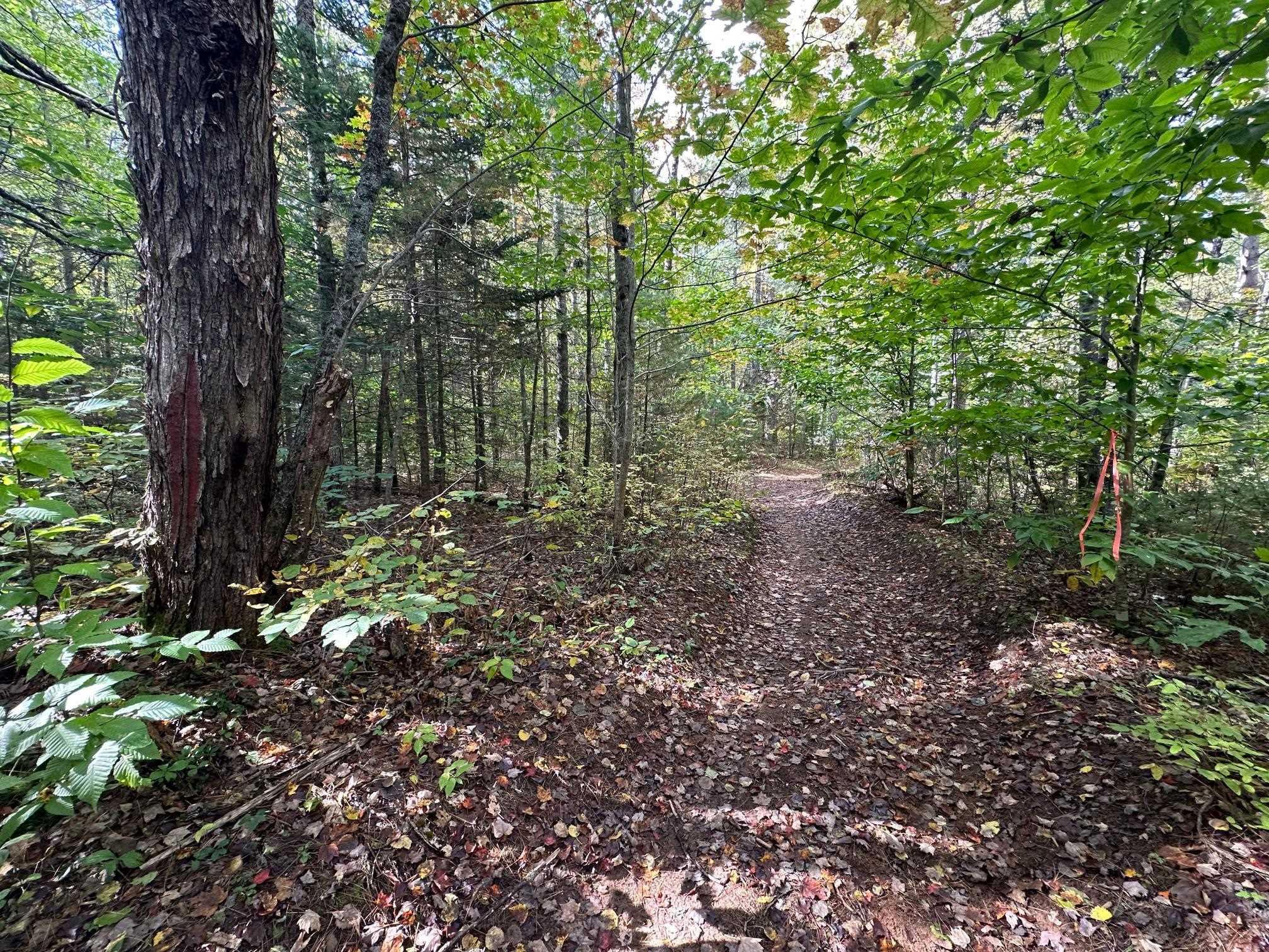 $355,000.00: Lot Park Street, Kentville