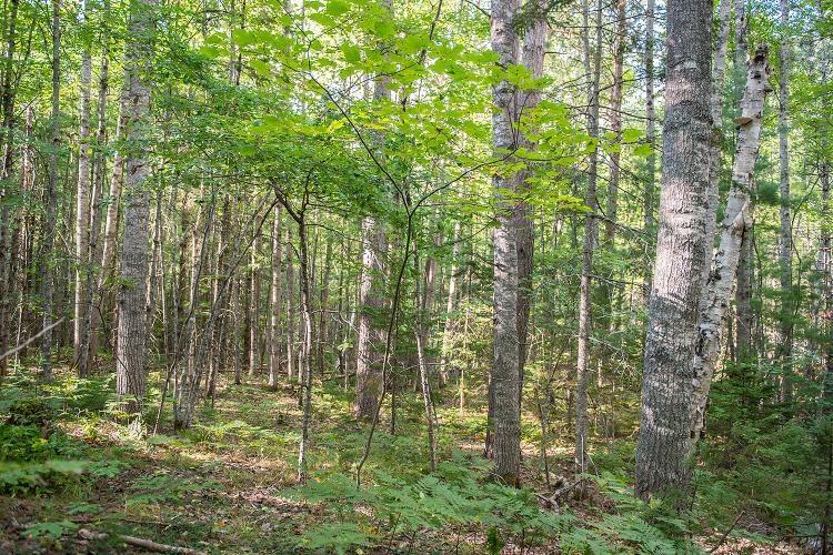 $355,000.00: Lot Park Street, Kentville