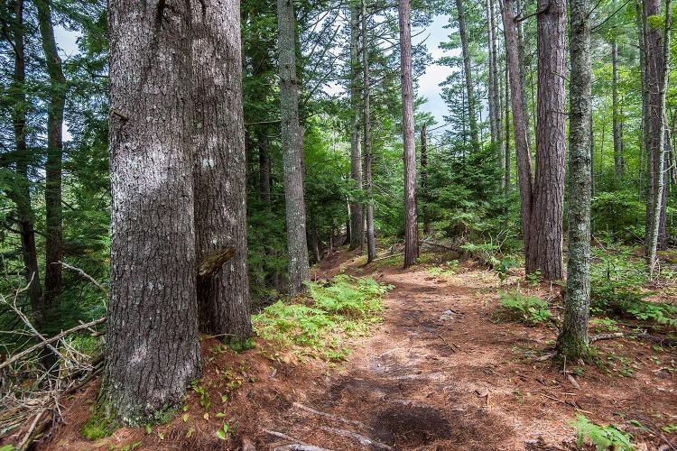 $355,000.00: Lot Park Street, Kentville