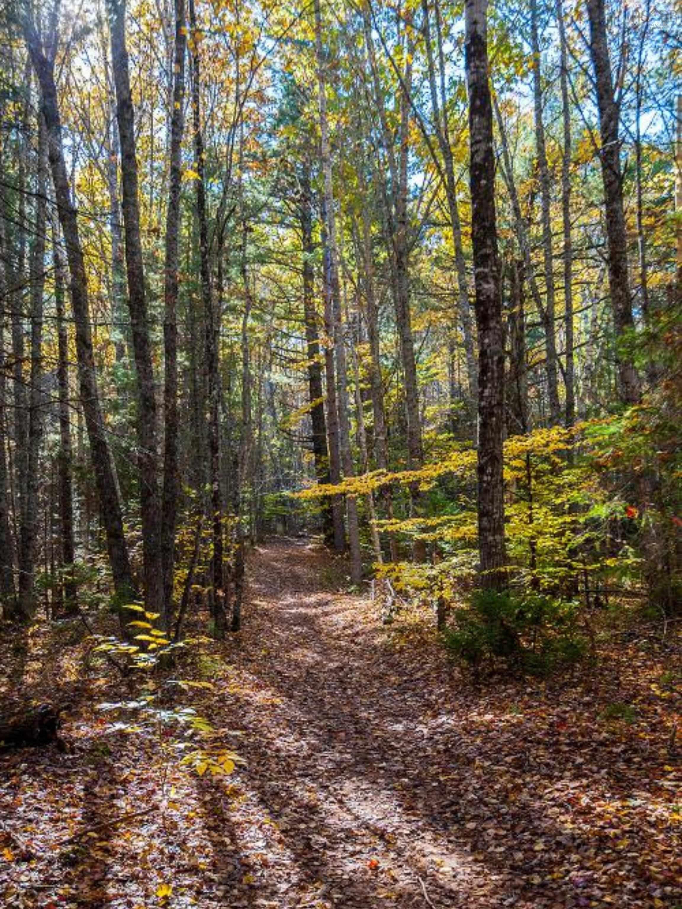 $355,000.00: Lot Park Street, Kentville