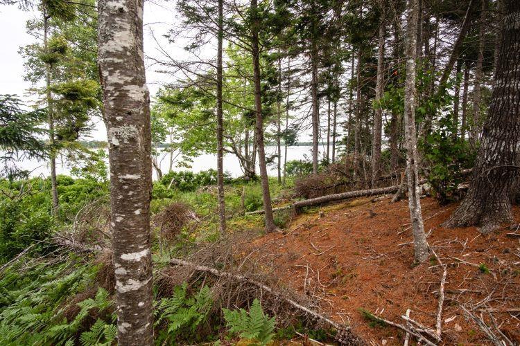 $40,000.00: Lot 17 Militia Point Road, Militia Point