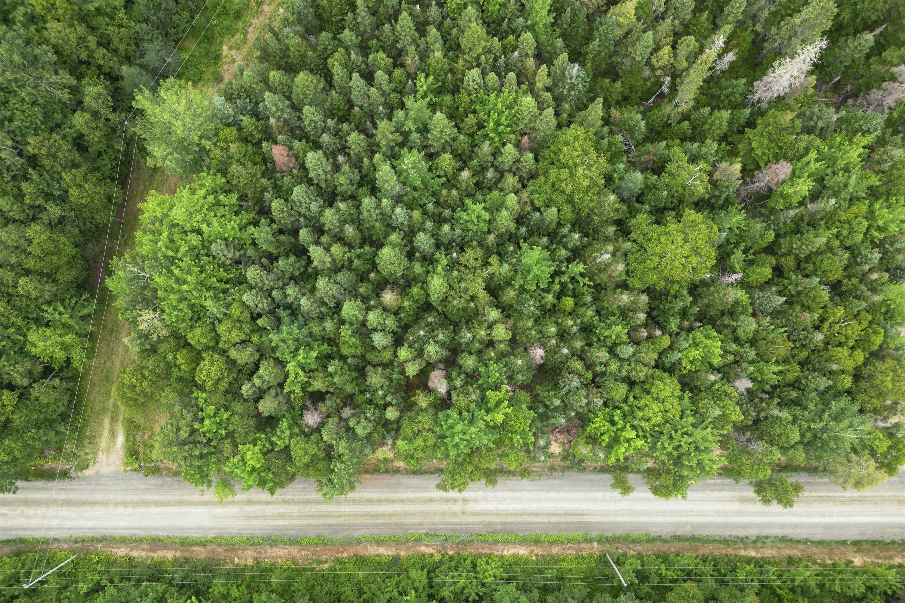 $40,000.00: Lot 17 Militia Point Road, Militia Point