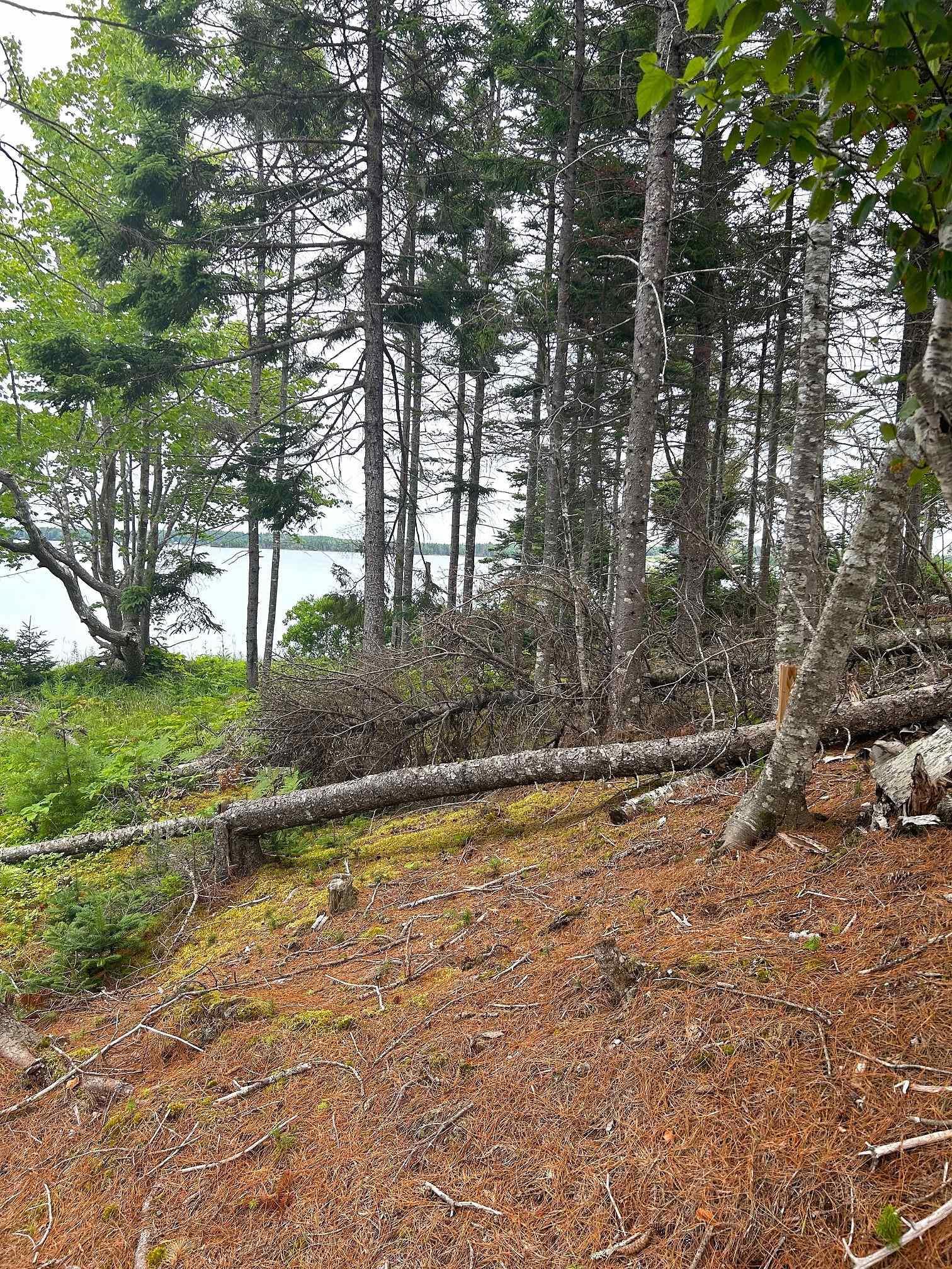 $40,000.00: Lot 17 Militia Point Road, Militia Point