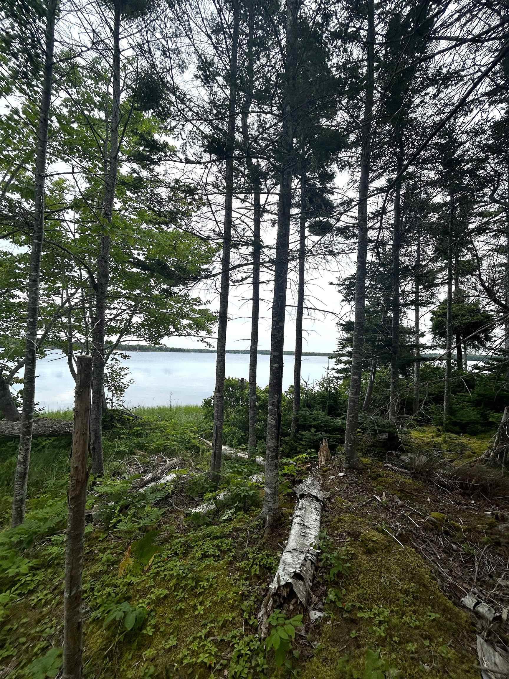 $40,000.00: Lot 17 Militia Point Road, Militia Point