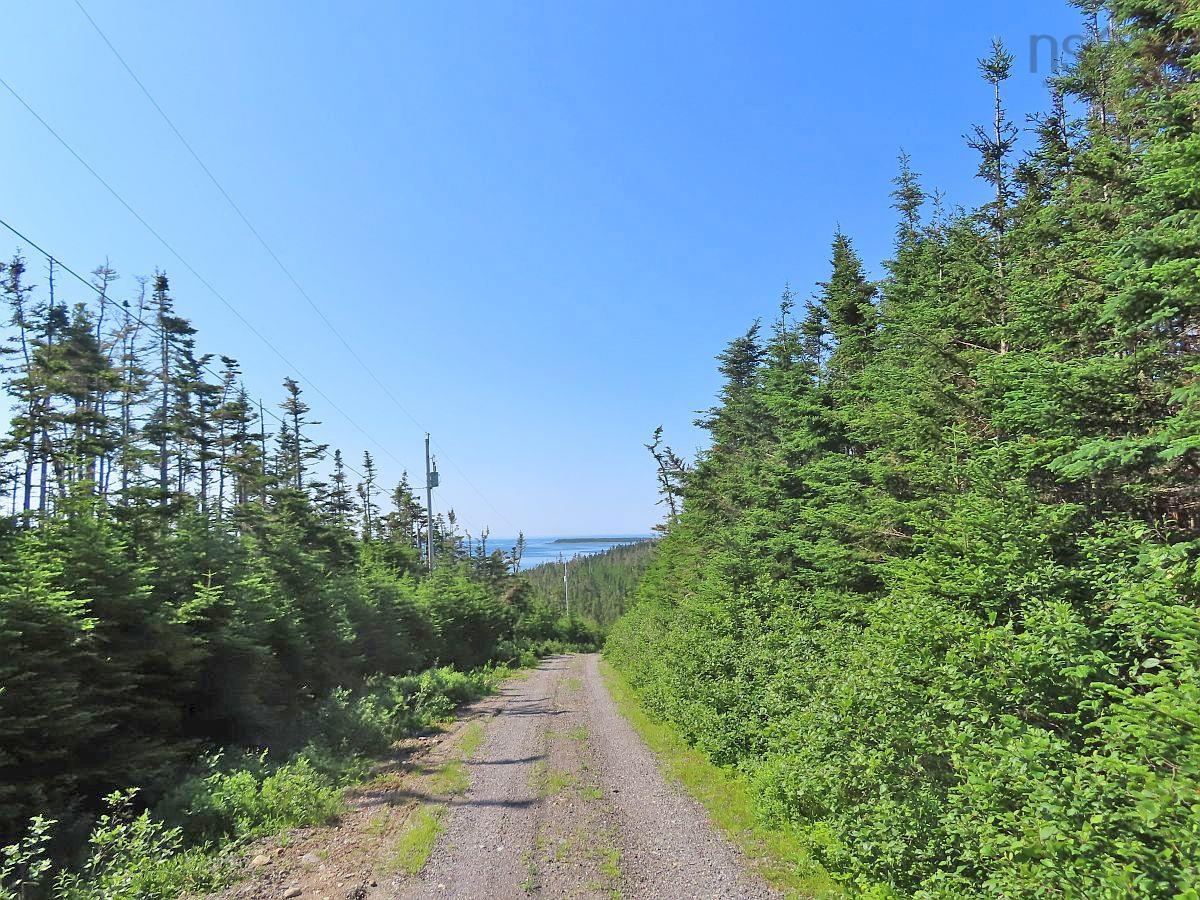 304 Cape Road South 