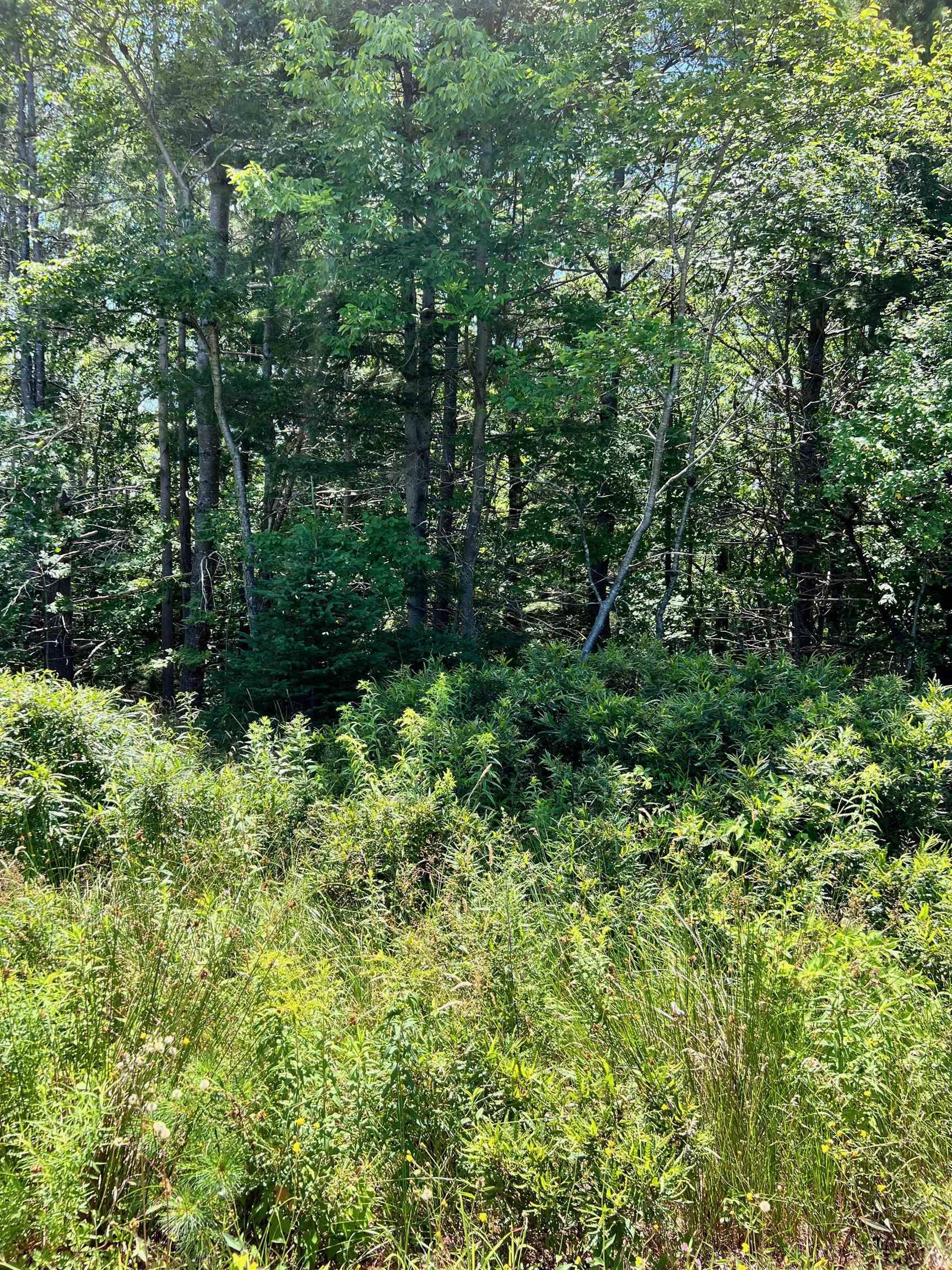 $50,000.00: Lot 226 Hawthorn Road, Mahone Bay