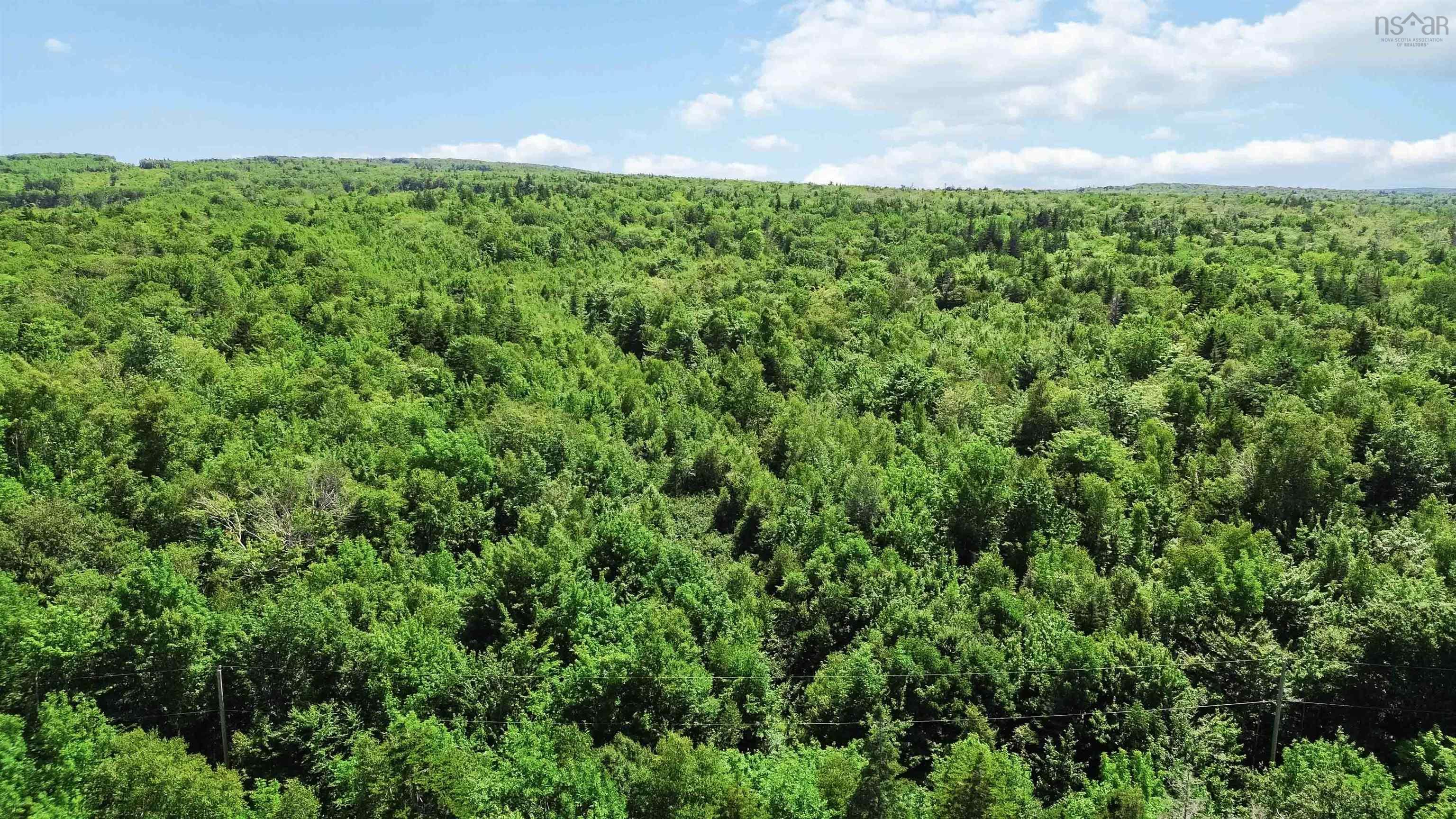 $45,000.00: Acreage Shore Road West, Delaps Cove