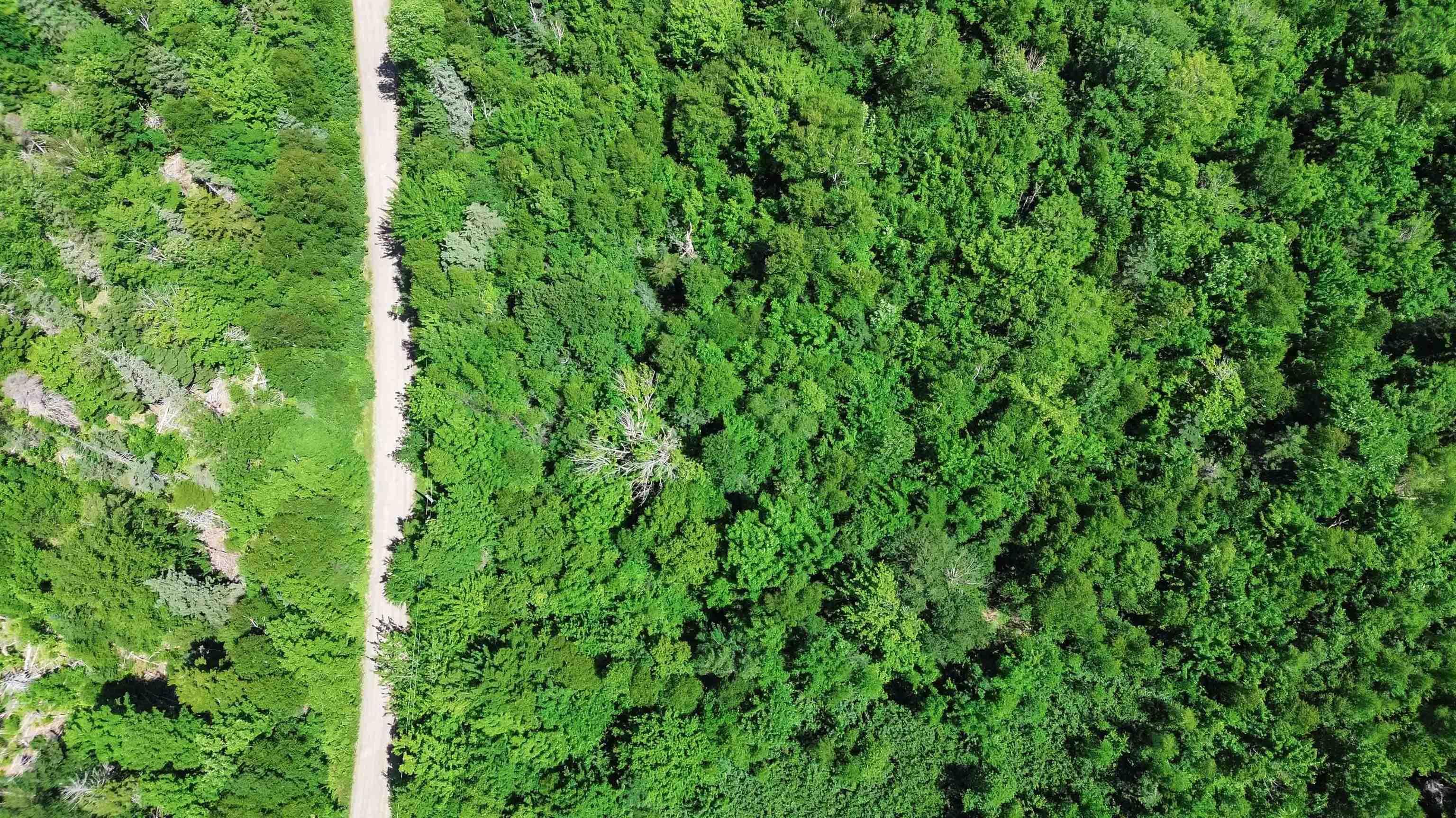 $45,000.00: Acreage Shore Road West, Delaps Cove