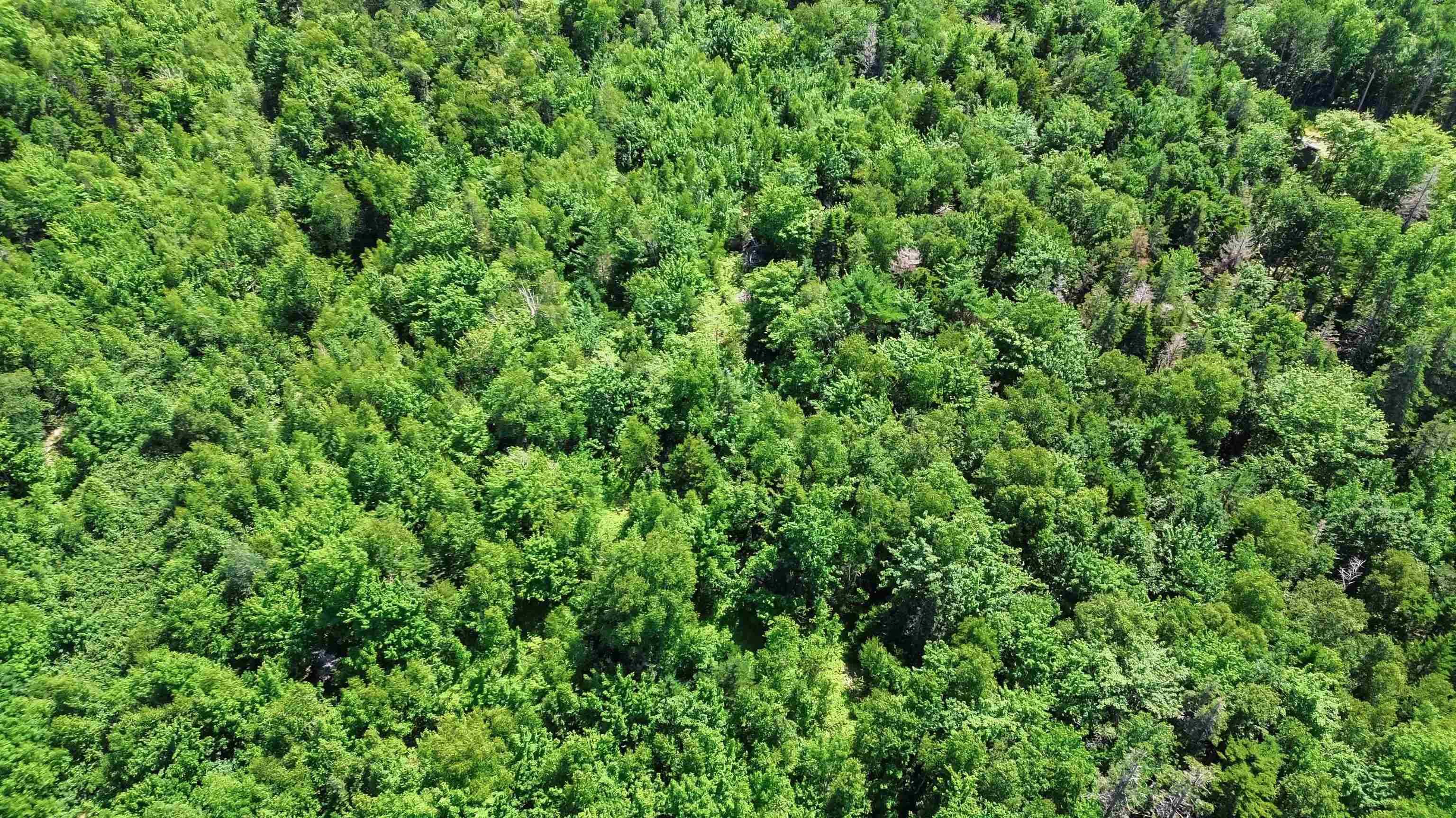 $45,000.00: Acreage Shore Road West, Delaps Cove