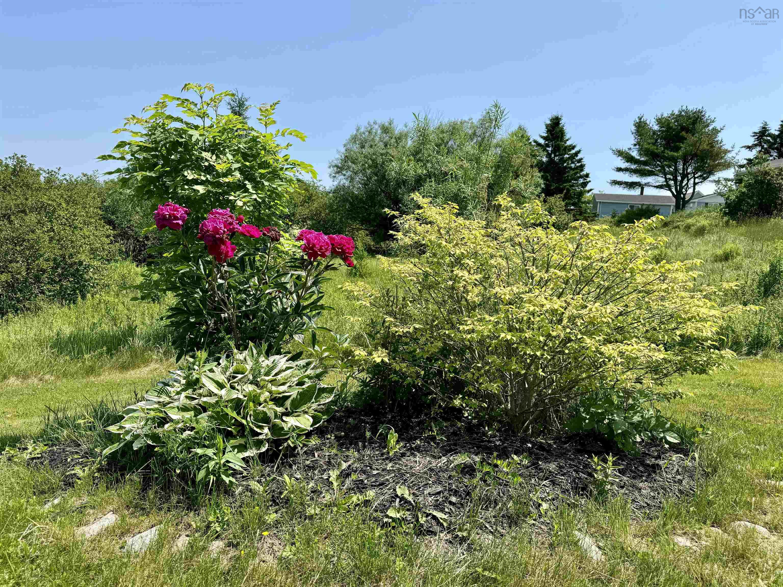 $449,000.00: 19 Marchand Lane, Louisdale