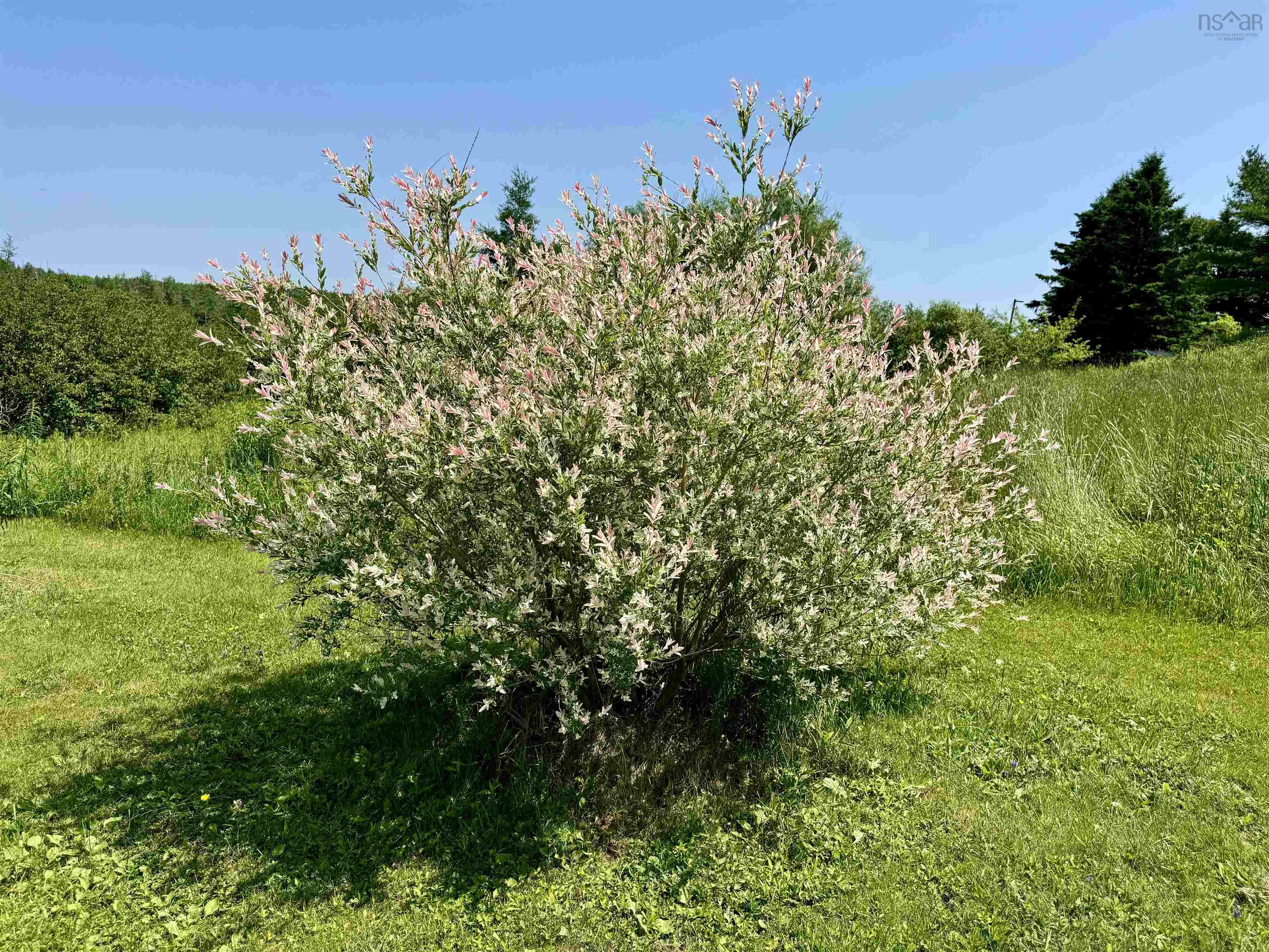 $449,000.00: 19 Marchand Lane, Louisdale