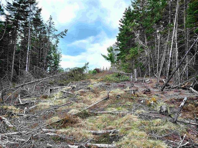 $69,900.00: Lot Back Road, Voglers Cove